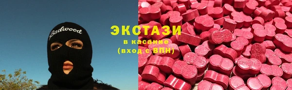 ешки Ельня