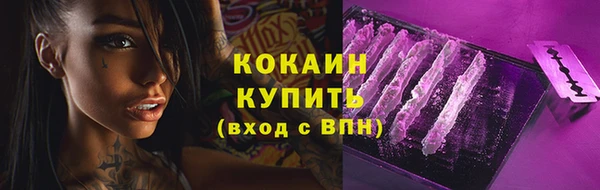 ALPHA-PVP Елизово