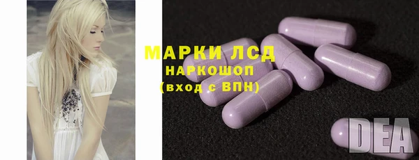 ешки Ельня