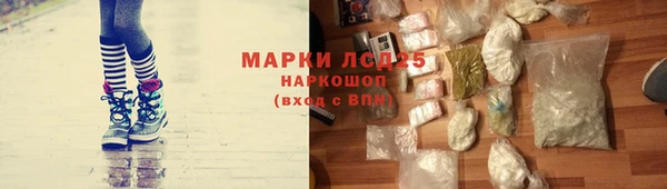 ешки Ельня