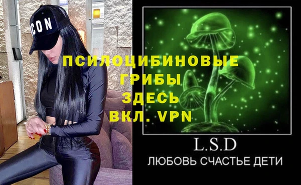 ешки Ельня