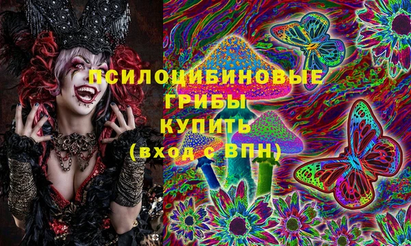 ешки Ельня