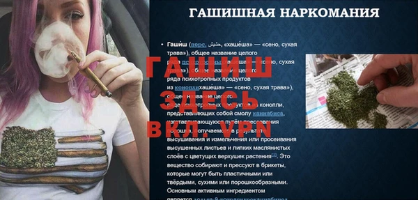 ешки Ельня