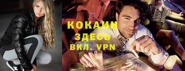 ешки Ельня