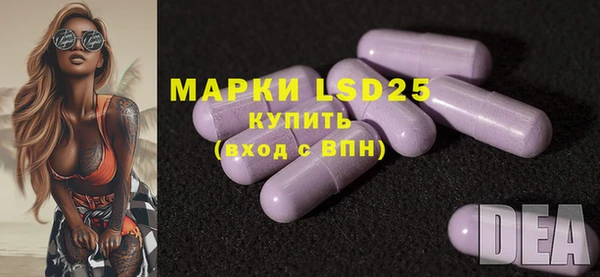 ешки Ельня