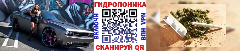 Бошки марихуана White Widow  Купить где  Удомля 